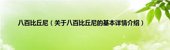 八百比丘尼（关于八百比丘尼的基本详情介绍）