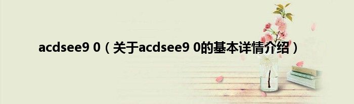 acdsee9 0（关于acdsee9 0的基本详情介绍）