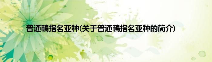 普通鳾指名亚种(关于普通鳾指名亚种的简介)