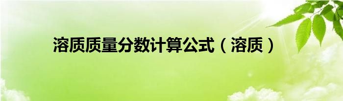 溶质质量分数计算公式（溶质）