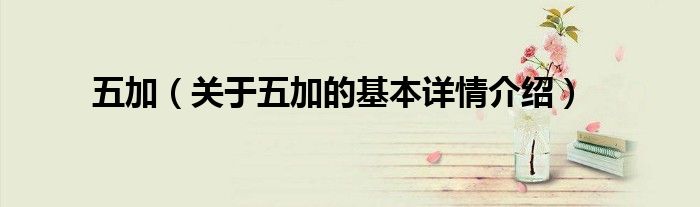 五加（关于五加的基本详情介绍）