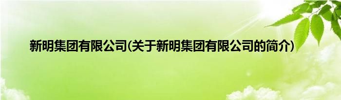 新明集团有限公司(关于新明集团有限公司的简介)