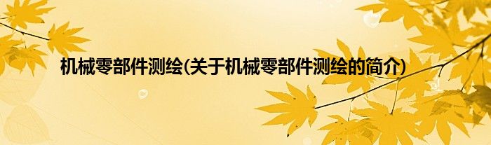 机械零部件测绘(关于机械零部件测绘的简介)