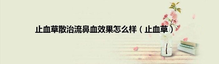 止血草散治流鼻血效果怎么样（止血草）