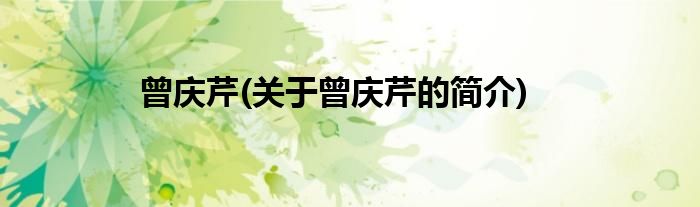 曾庆芹(关于曾庆芹的简介)