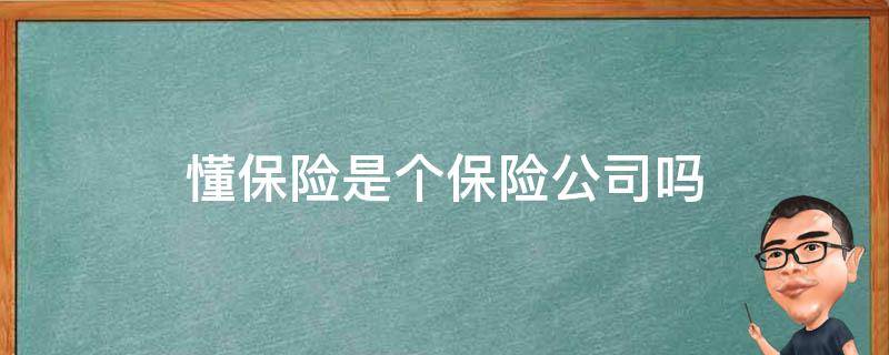 懂保险是个保险公司吗