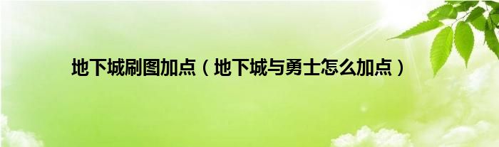 地下城刷图加点（地下城与勇士怎么加点）