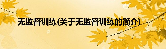 无监督训练(关于无监督训练的简介)
