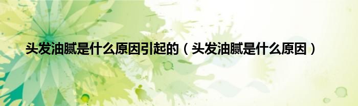 头发油腻是什么原因引起的（头发油腻是什么原因）