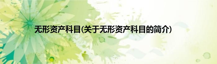无形资产科目(关于无形资产科目的简介)