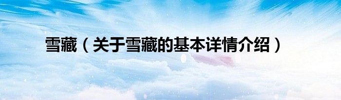 雪藏（关于雪藏的基本详情介绍）