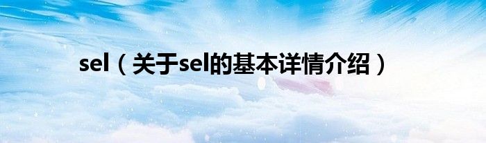 sel（关于sel的基本详情介绍）