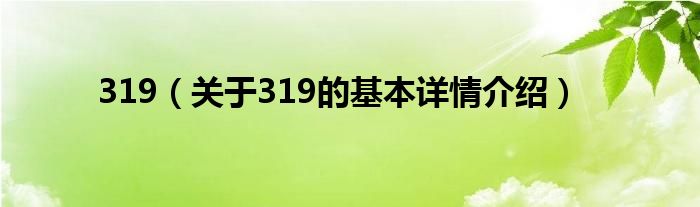 319（关于319的基本详情介绍）