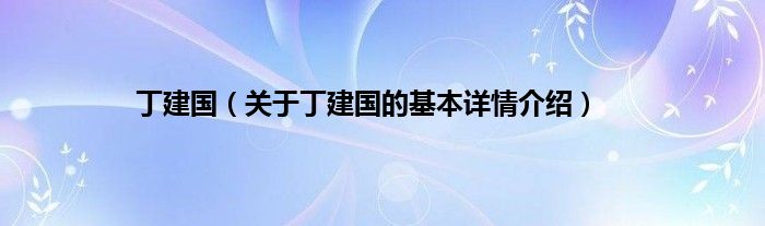 丁建国（关于丁建国的基本详情介绍）