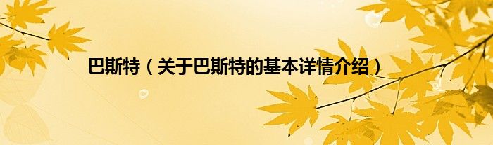 巴斯特（关于巴斯特的基本详情介绍）