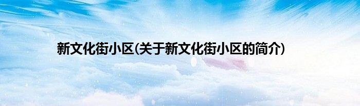 新文化街小区(关于新文化街小区的简介)