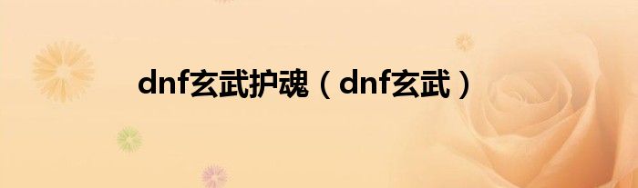 dnf玄武护魂（dnf玄武）