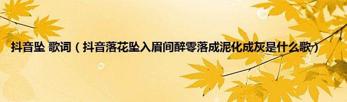 抖音坠 歌词（抖音落花坠入眉间醉零落成泥化成灰是什么歌）