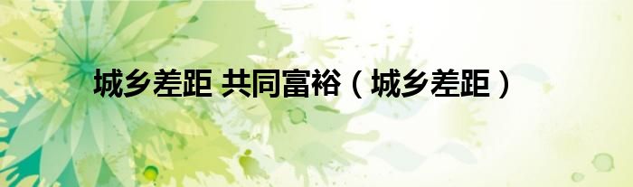 城乡差距 共同富裕（城乡差距）