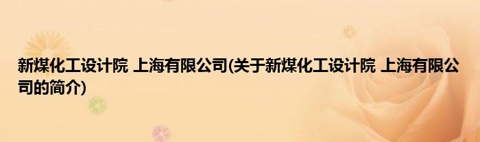 新煤化工设计院 上海有限公司(关于新煤化工设计院 上海有限公司的简介)