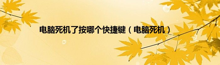 电脑死机了按哪个快捷键（电脑死机）