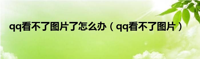 qq看不了图片了怎么办（qq看不了图片）
