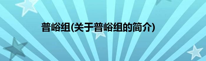 普峪组(关于普峪组的简介)