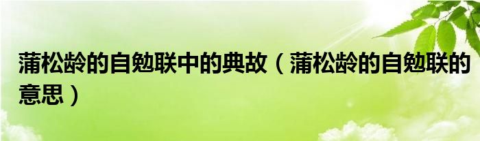 蒲松龄的自勉联中的典故（蒲松龄的自勉联的意思）