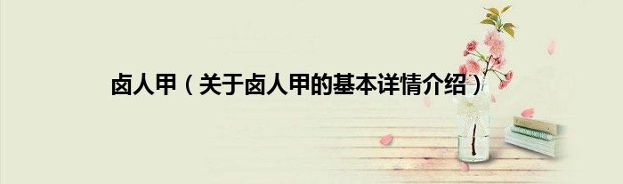 卤人甲（关于卤人甲的基本详情介绍）
