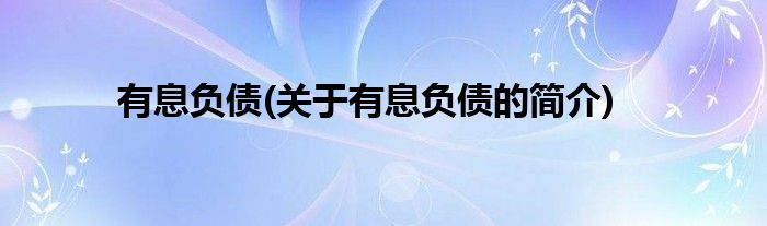 有息负债(关于有息负债的简介)