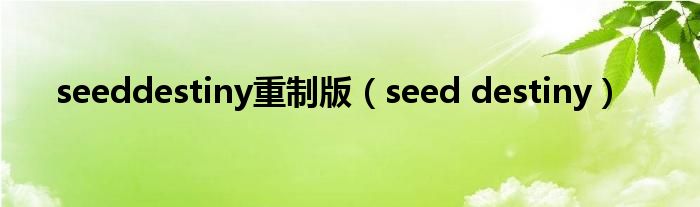 seeddestiny重制版（seed destiny）