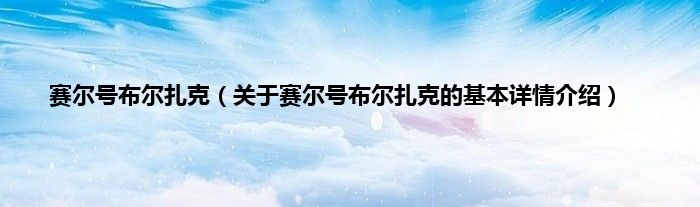 赛尔号布尔扎克（关于赛尔号布尔扎克的基本详情介绍）