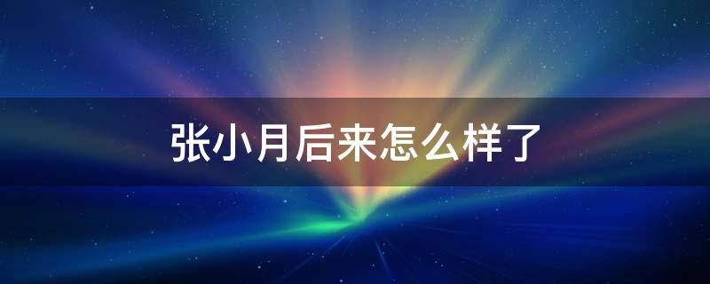 张小月后来怎么样了