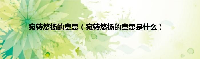 宛转悠扬的意思（宛转悠扬的意思是什么）