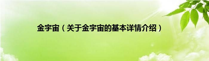 金宇宙（关于金宇宙的基本详情介绍）