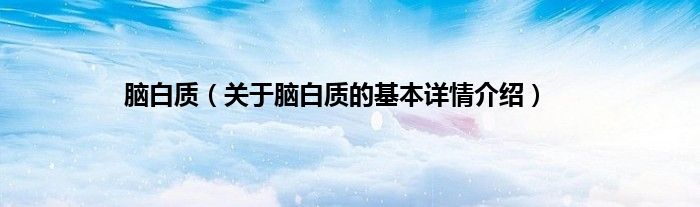 脑白质（关于脑白质的基本详情介绍）