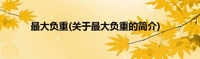 最大负重(关于最大负重的简介)