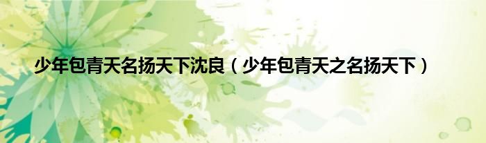 少年包青天名扬天下沈良（少年包青天之名扬天下）