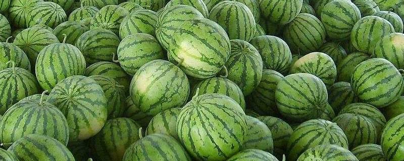 西瓜加盐有什么功效
