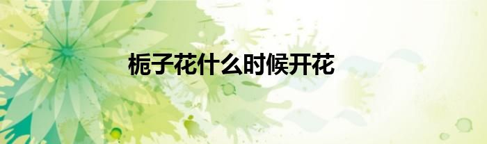 栀子花什么时候开花