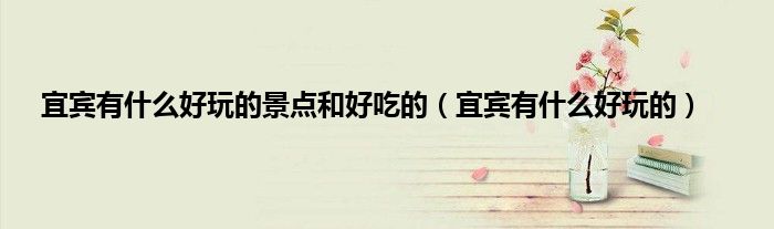 宜宾有什么好玩的景点和好吃的（宜宾有什么好玩的）