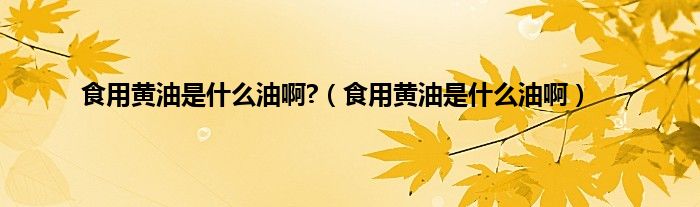 食用黄油是什么油啊?（食用黄油是什么油啊）