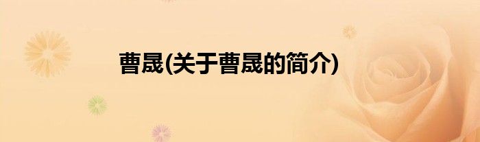 曹晟(关于曹晟的简介)