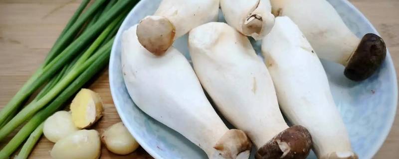 杏鲍菇怎么判断熟没熟