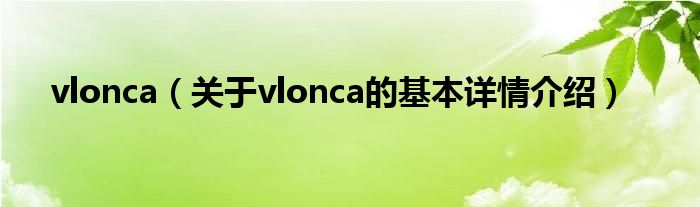 vlonca（关于vlonca的基本详情介绍）