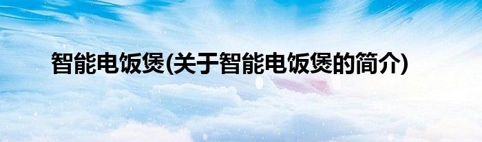智能电饭煲(关于智能电饭煲的简介)