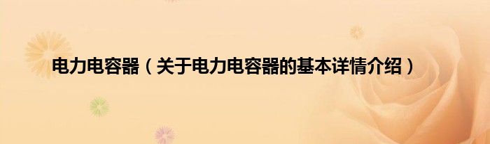 电力电容器（关于电力电容器的基本详情介绍）