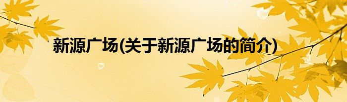新源广场(关于新源广场的简介)