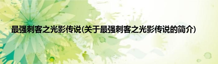 最强刺客之光影传说(关于最强刺客之光影传说的简介)