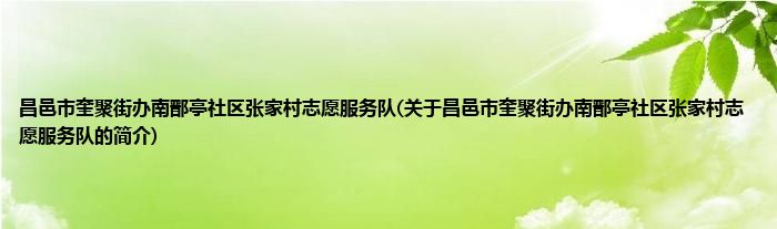 昌邑市奎聚街办南鄑亭社区张家村志愿服务队(关于昌邑市奎聚街办南鄑亭社区张家村志愿服务队的简介)